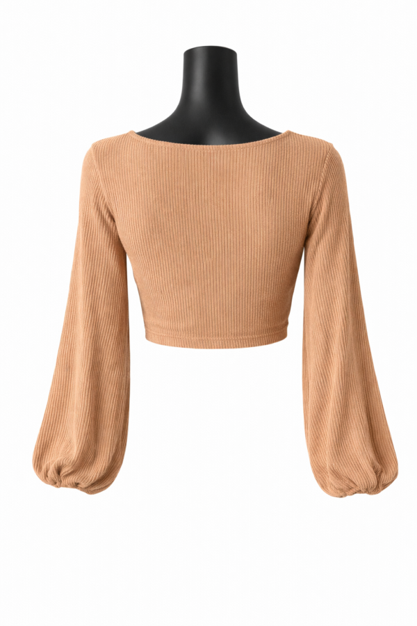 Surplice Ribbed Long Sleeve Crop Top